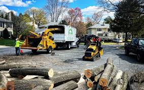 How Our Tree Care Process Works  in Sunnyside, WA